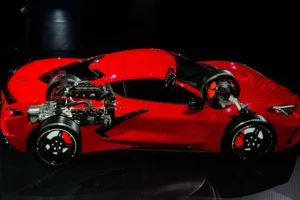 Cutaway Views